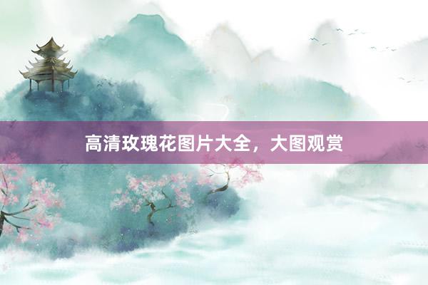 高清玫瑰花图片大全，大图观赏